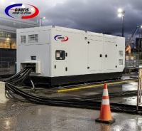 Emergency Power Generator Rental Guide 