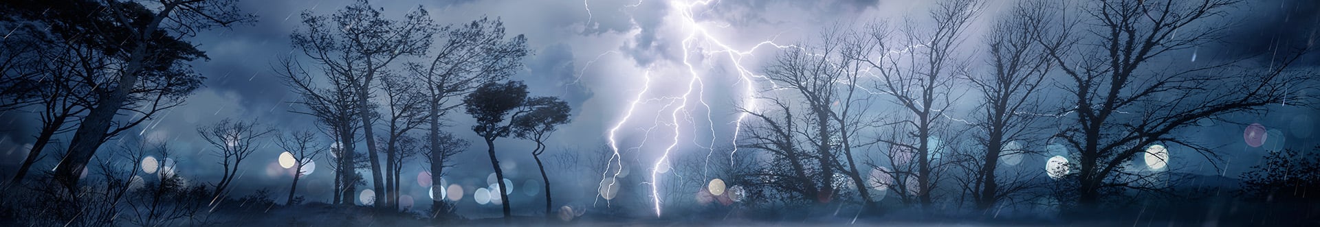 Header - Rental Storm