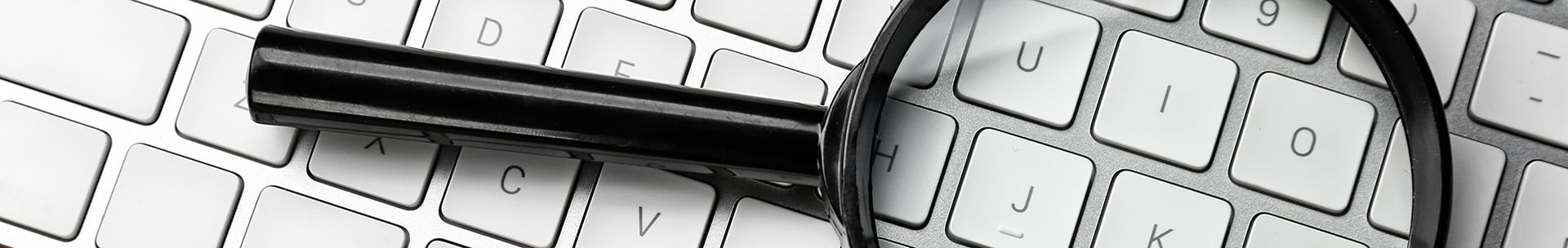 Header - Search